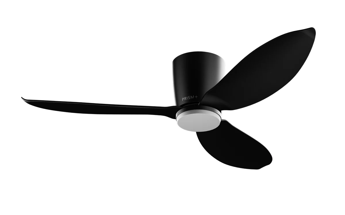 Leaf Blade - Image 3
