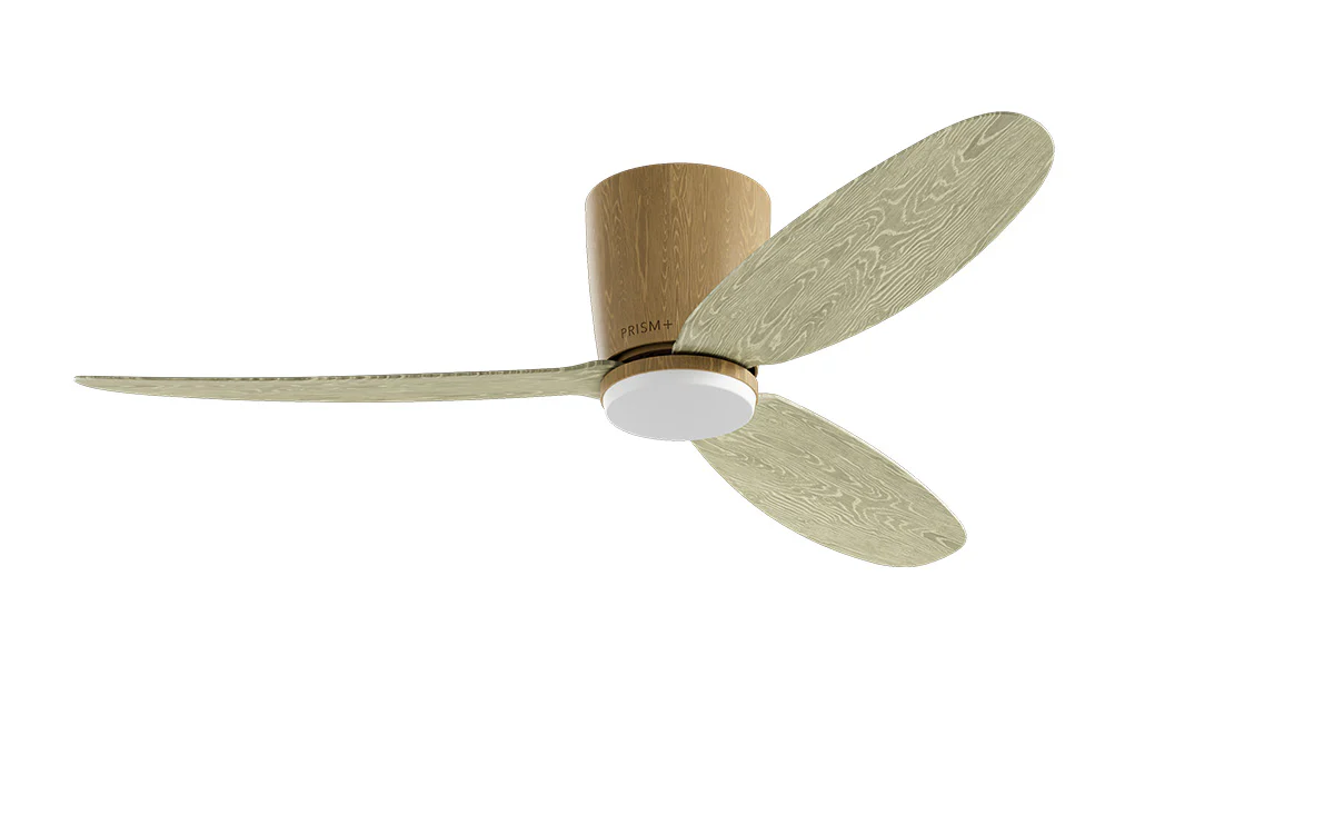 PRISM+ Oasis Pro Curve - 3 Blades - Hugger Smart NCCT - Image 12