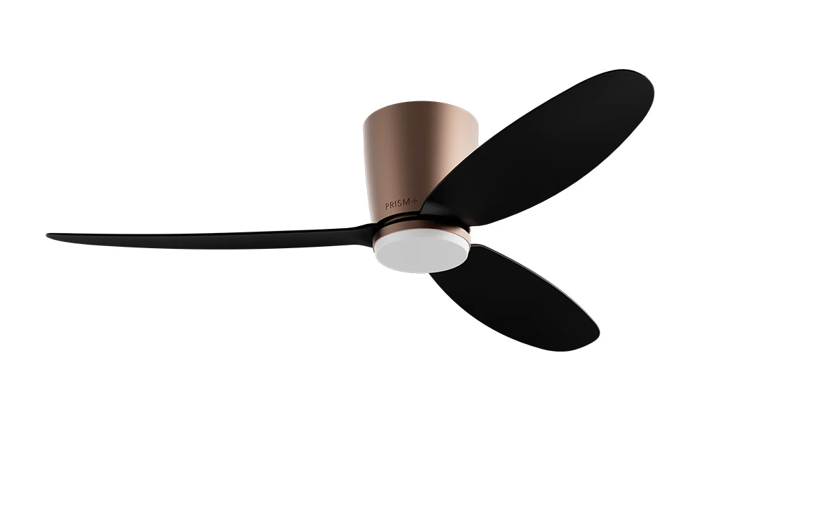 PRISM+ Oasis Pro Curve - 3 Blades - Hugger Smart NCCT - Image 9