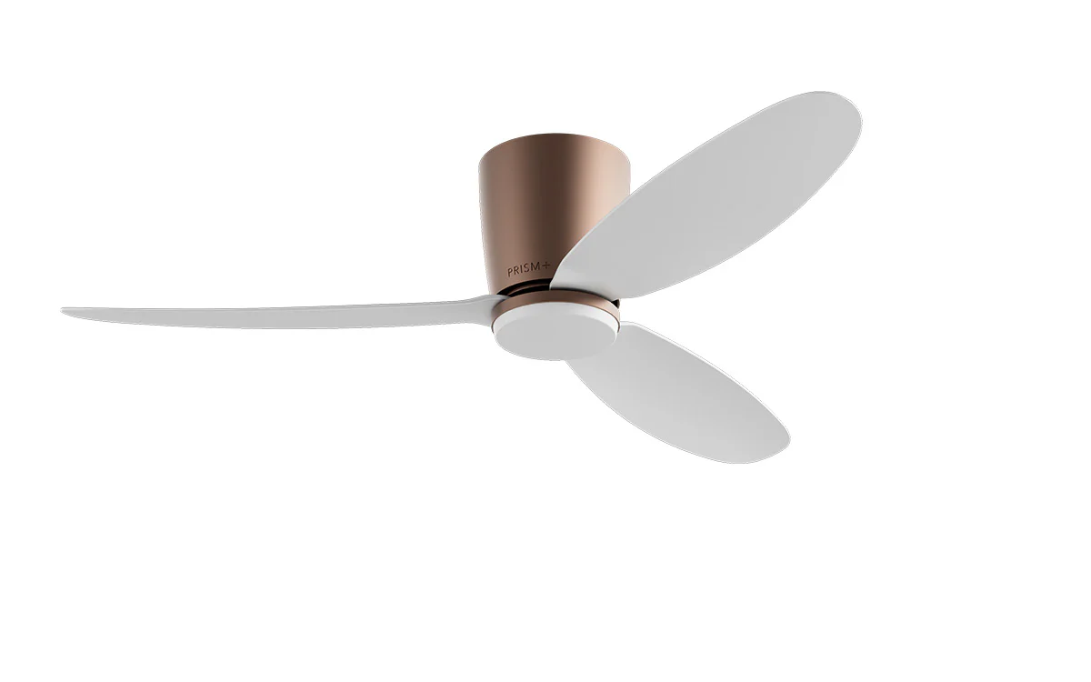 PRISM+ Oasis Pro Curve - 3 Blades - Hugger Smart NCCT - Image 8