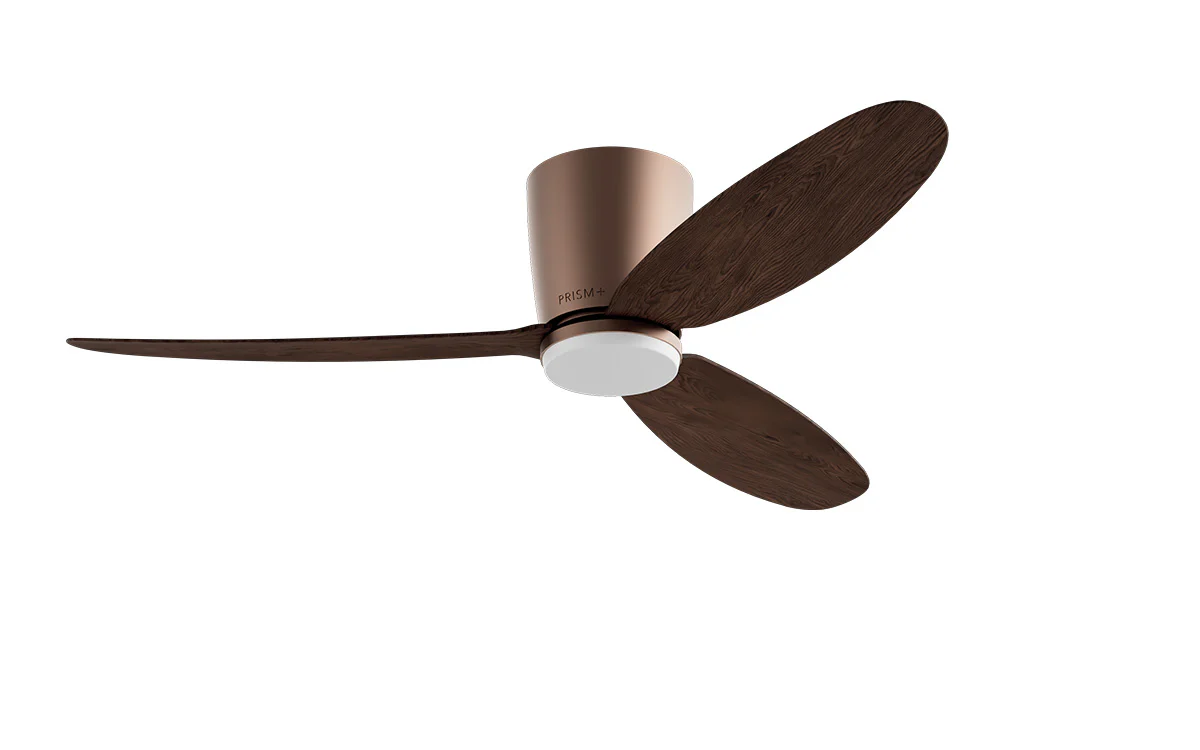 PRISM+ Oasis Pro Curve - 3 Blades - Hugger Smart NCCT - Image 7