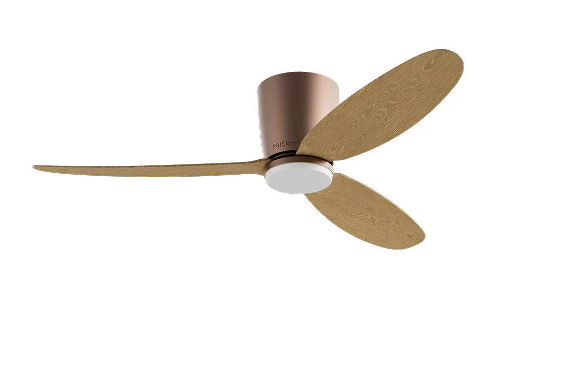 PRISM+ Oasis Pro Curve - 3 Blades - Hugger Smart NCCT - Image 6
