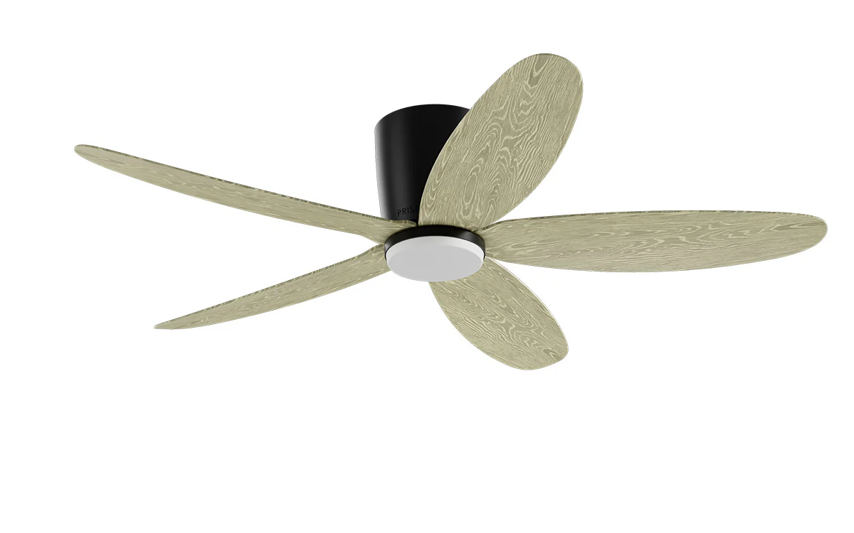 PRISM+ Oasis Pro Curve - 5 Blades - Hugger Smart NCCT - Image 12