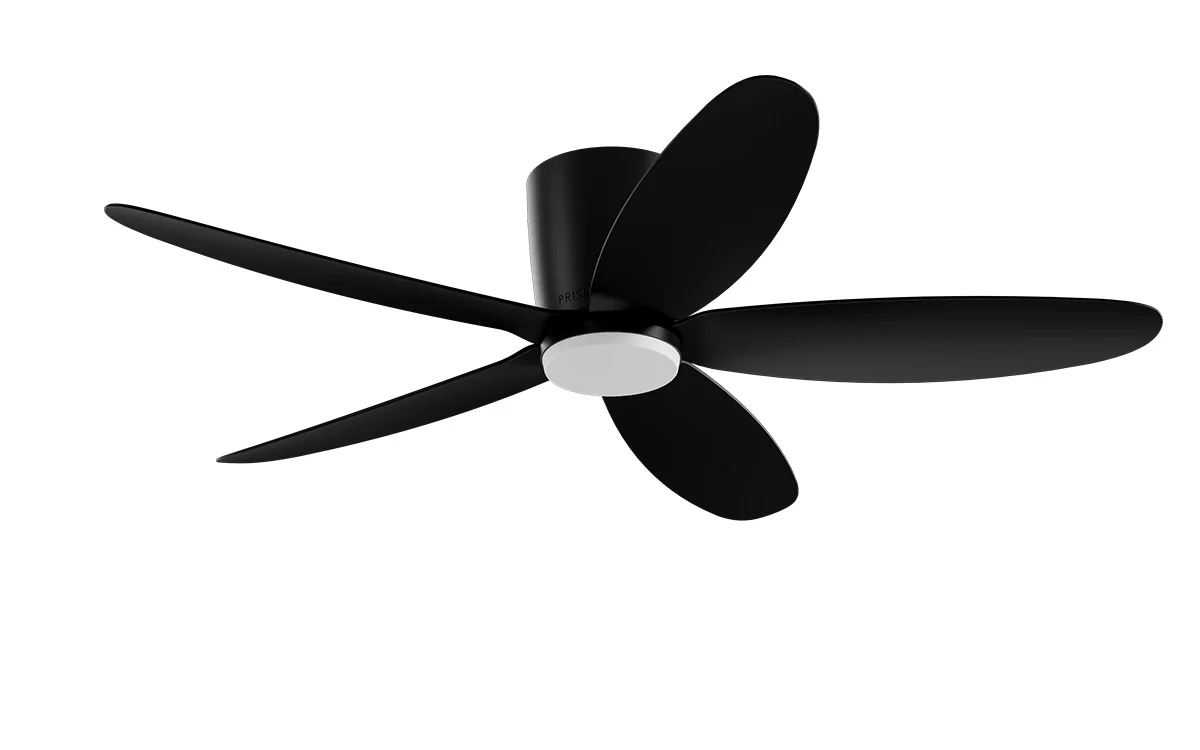 PRISM+ Oasis Pro Curve - 5 Blades - Hugger Smart NCCT - Image 15