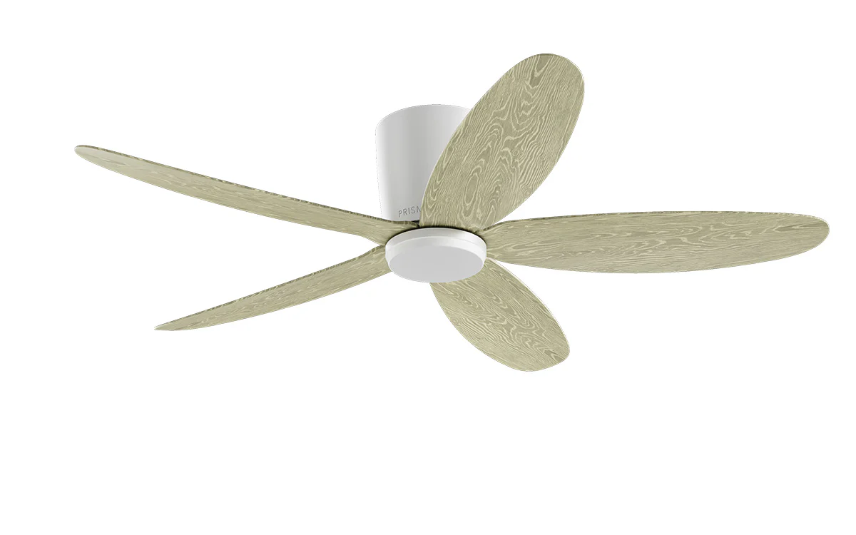 PRISM+ Oasis Pro Curve - 5 Blades - Hugger Smart NCCT - Image 22