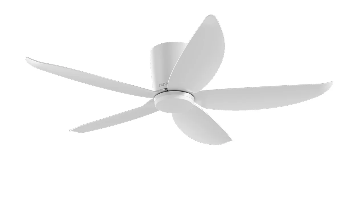 PRISM+ Oasis Pro Wing Tip - 5 Blades - Hugger Smart NCCT - Image 25